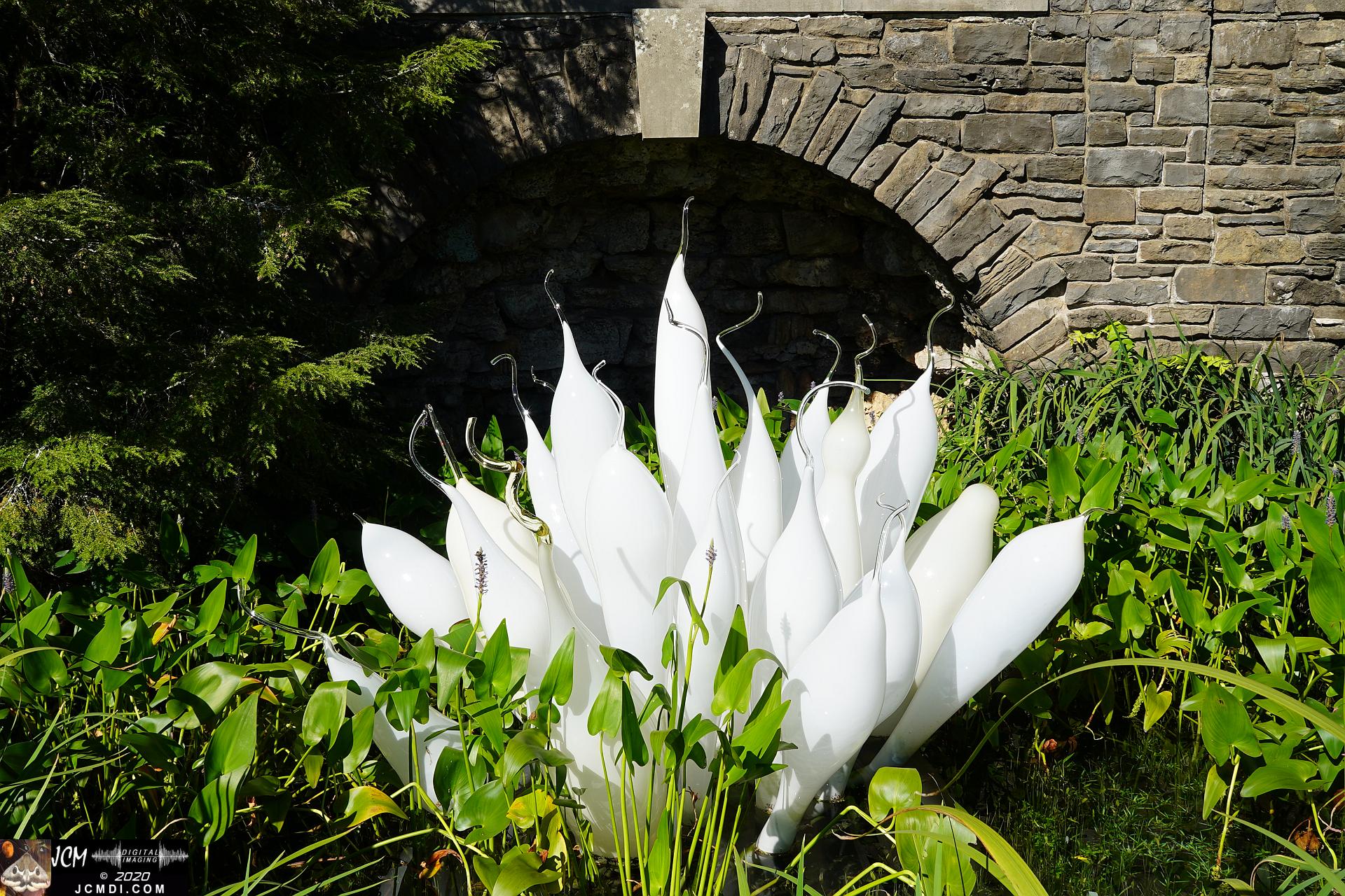 20200930 CheekWood Chihuly - White Belugas